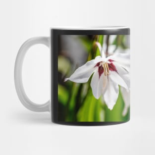 Peacock orchid flowers Mug